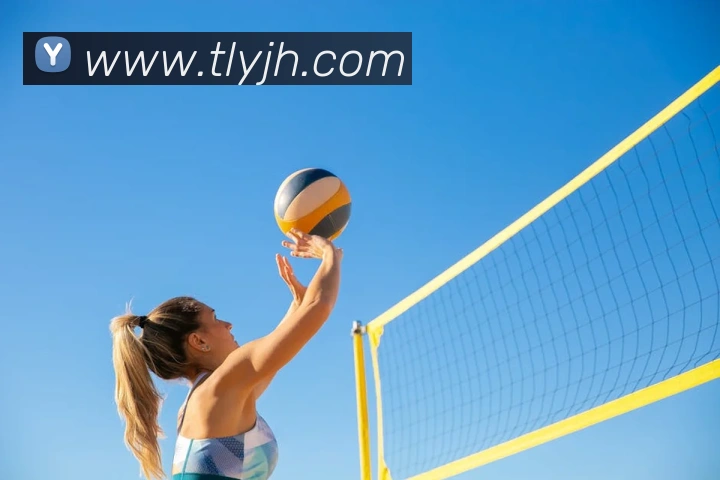 新爱体育官网发展历程